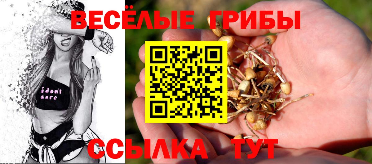 Ишимбай  Галлюциногенные грибы Psilocybine cubensis  Вход с VPN  Псилоцибиновые грибы мицелий 