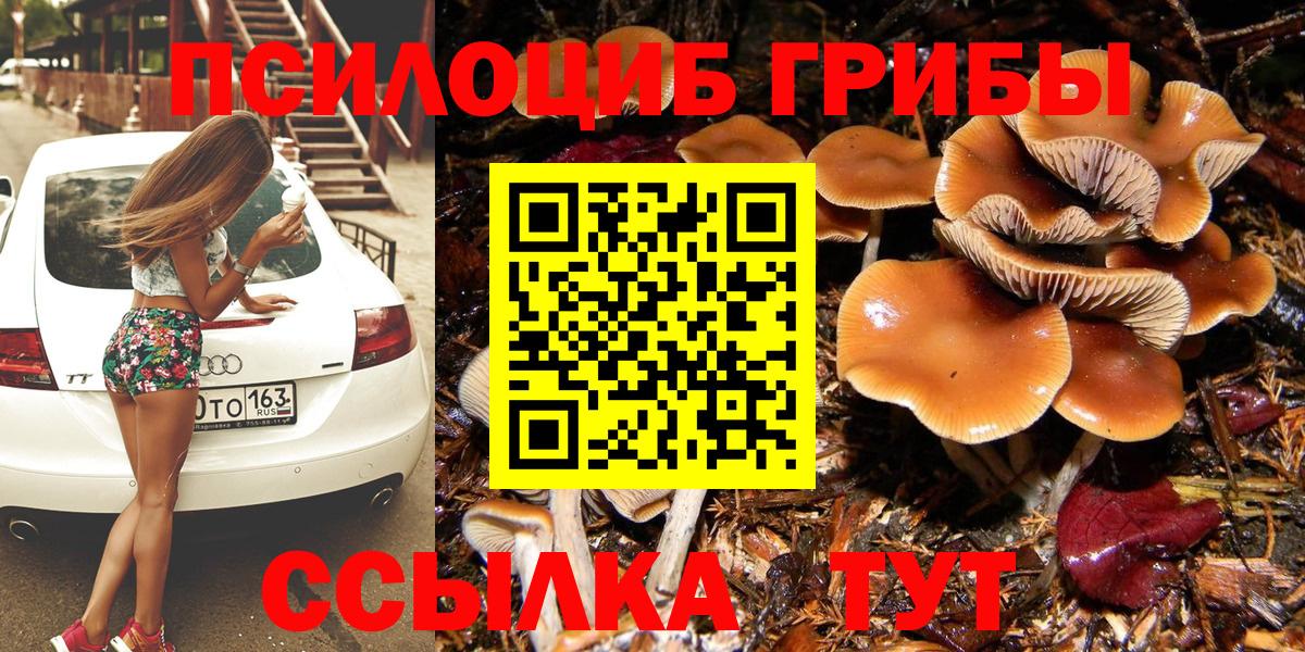 Галлюциногенные грибы прущие грибы Ишимбай